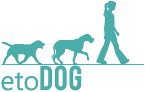 Etodog