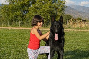 servicios09